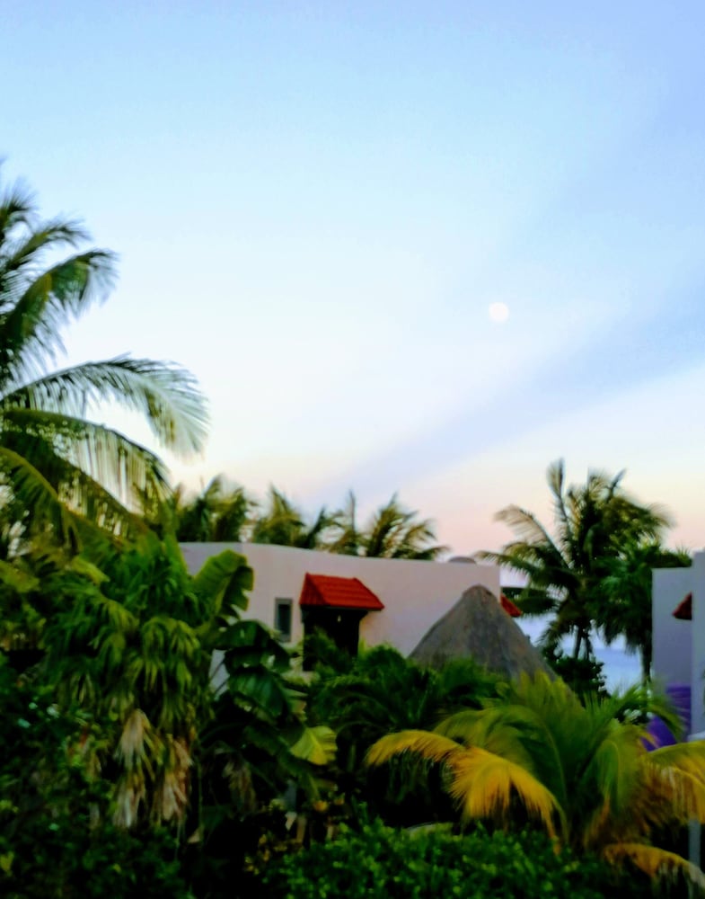 Margarita del Sol Costa Maya 35/43