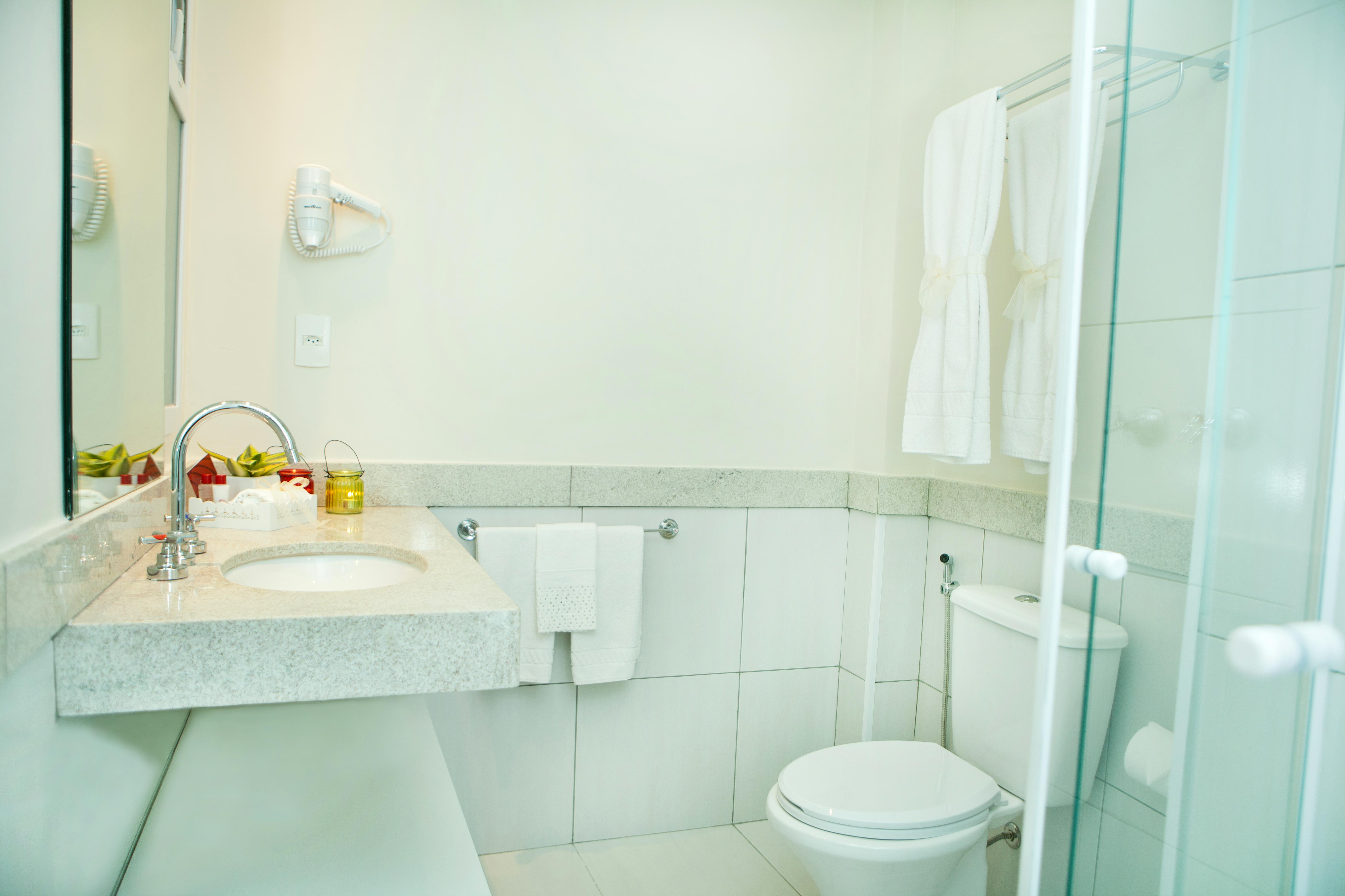 Executive, Vila Rica Campinas Hotel 2/3