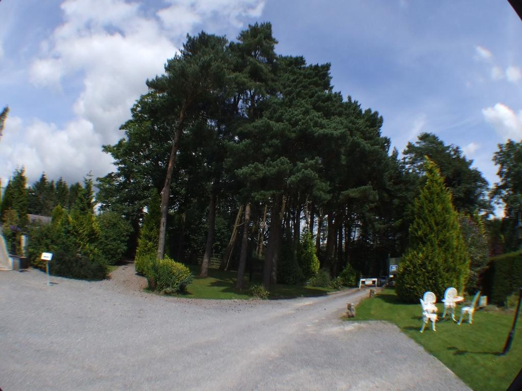 Ty Newydd Country Hotel 22/29