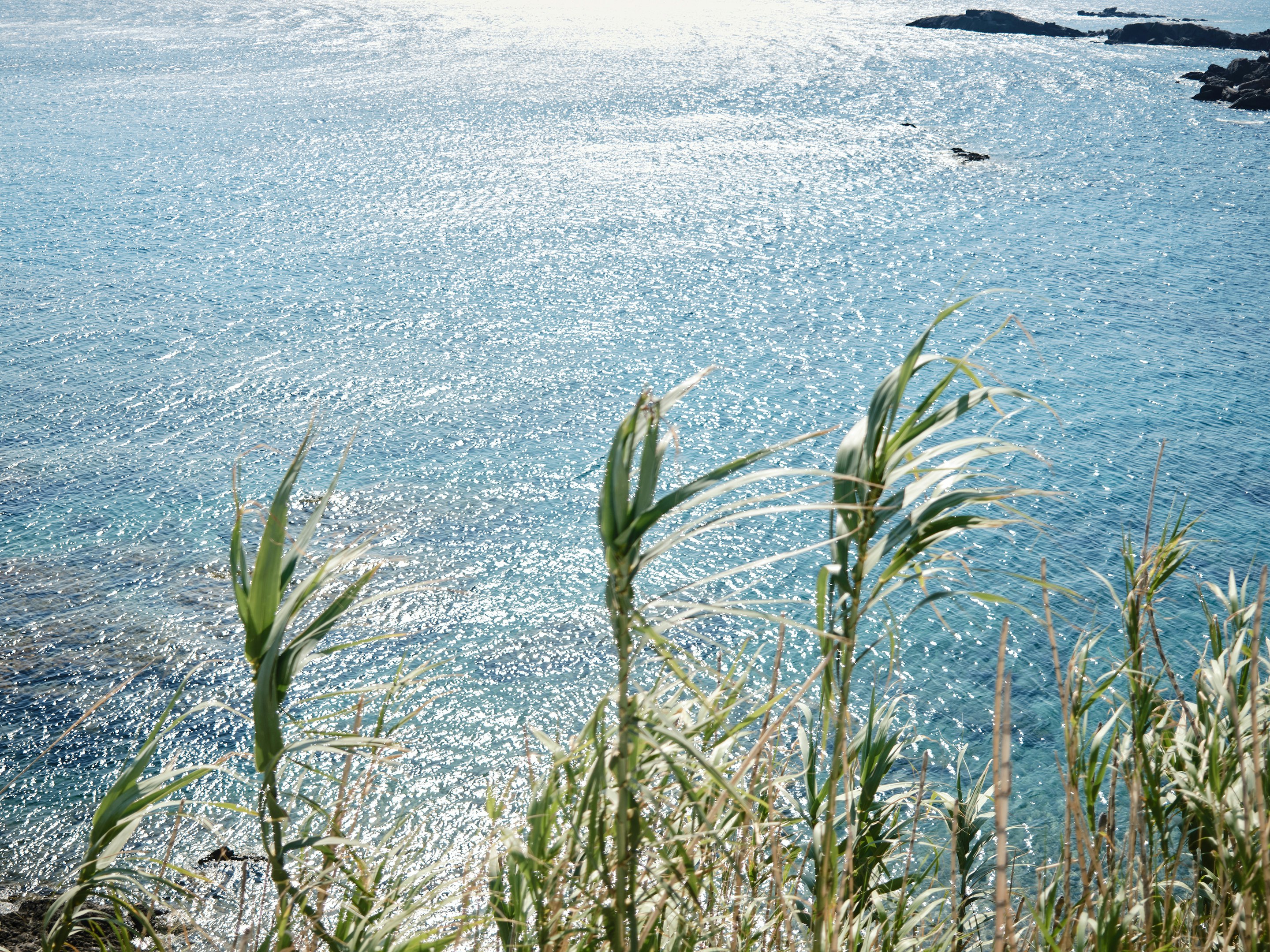 Mykonos Lolita, A Resort to Live 33/47