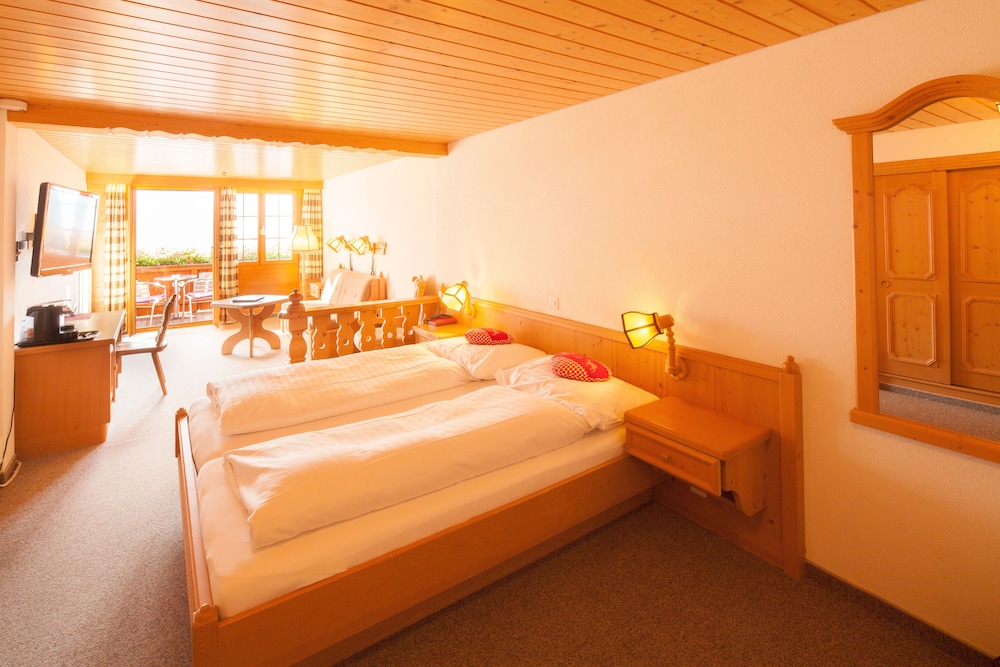 Hotel Alpenhof 20/57
