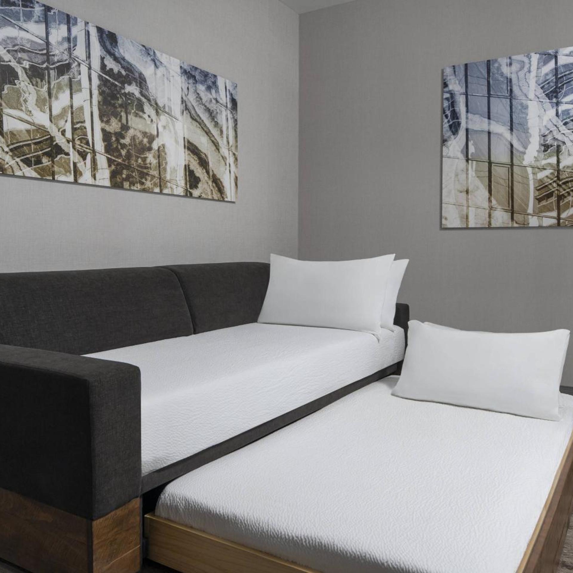 جناح بسرير كينج مع سرير سحّاب إضافي بحوض استحمام لذوي الإعاقة، SpringHill Suites by Marriott Tuckahoe Westchester County 2/10