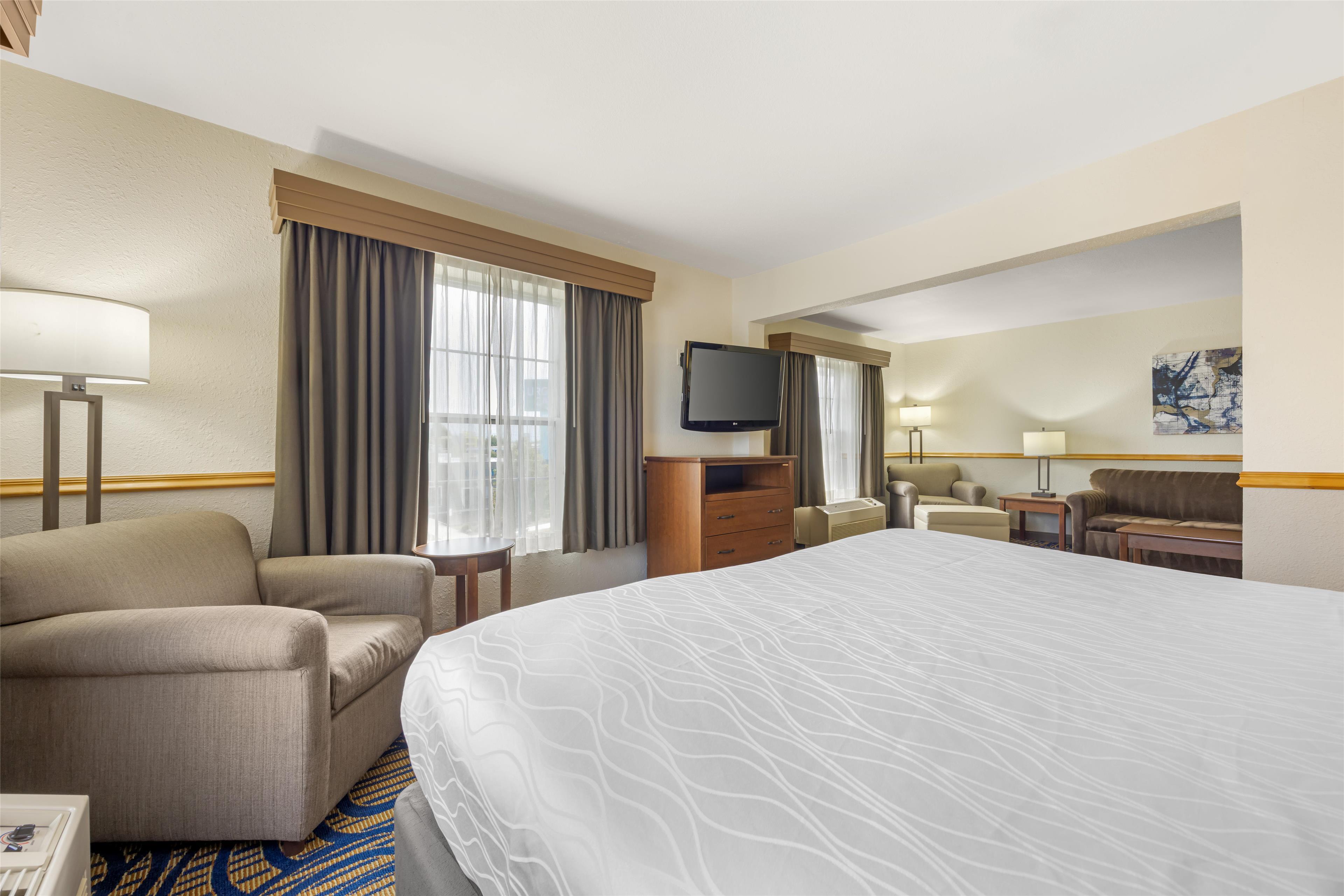 Suite, King Bed