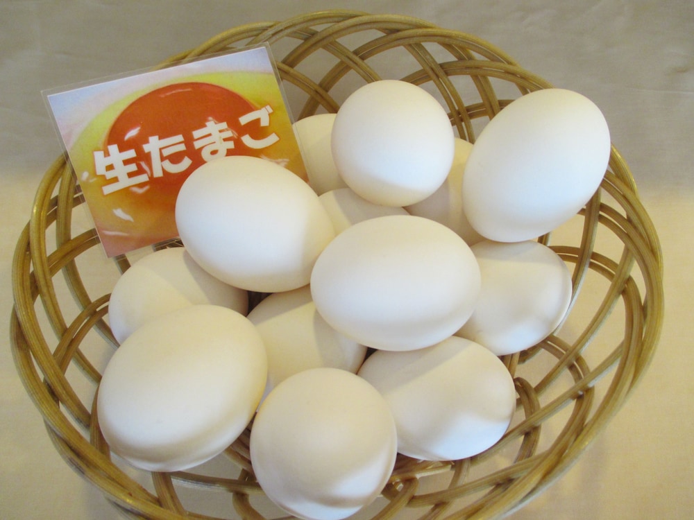Kitami Towa Hotel 46/62