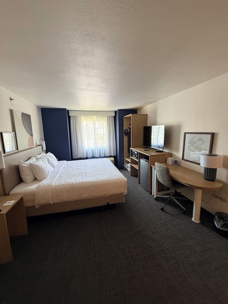 Spark by Hilton Appleton 24/57