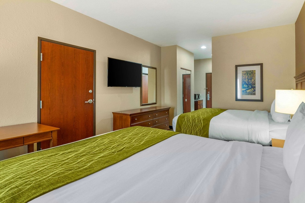 Comfort Inn and Suites Davenport Quad Cities 17/41