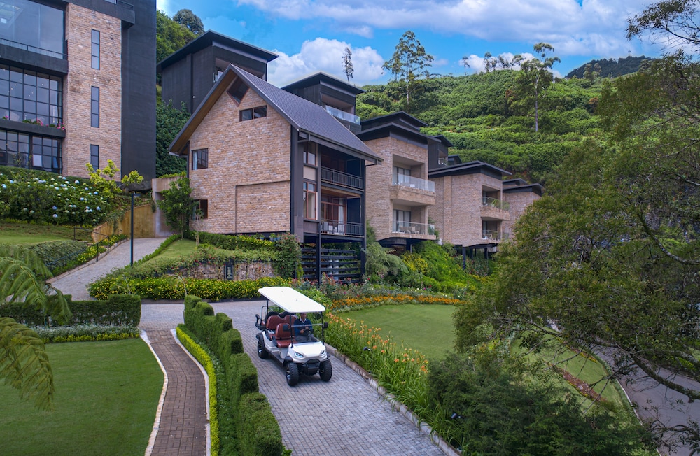 The Golden Ridge Hotel 50/57
