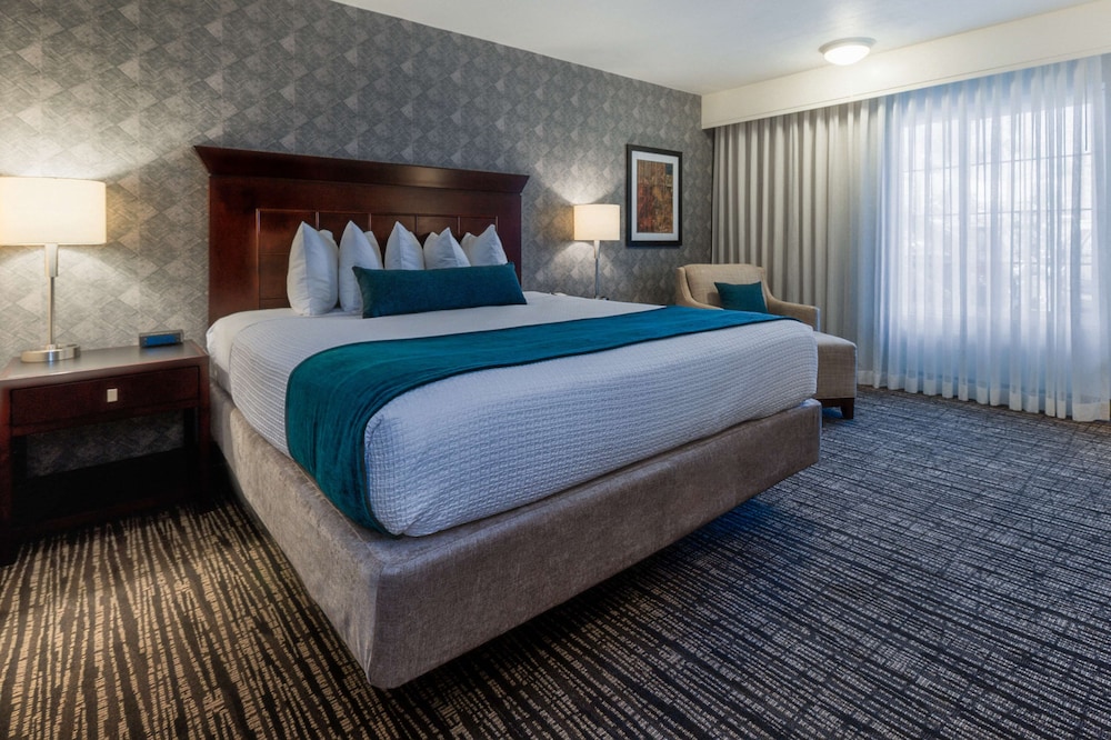 Best Western Plus Carriage Inn 33/78