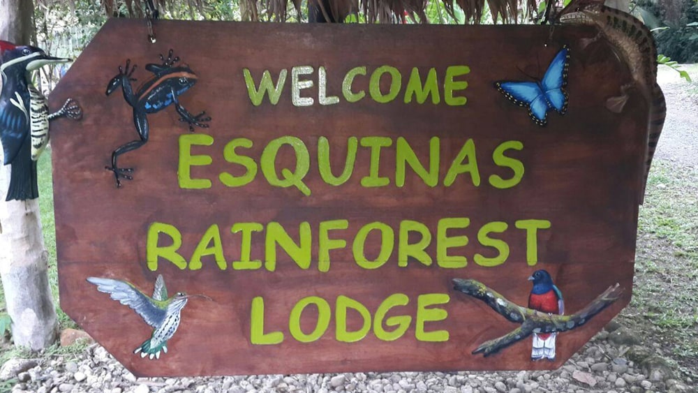 Esquinas Rainforest Lodge 4/46