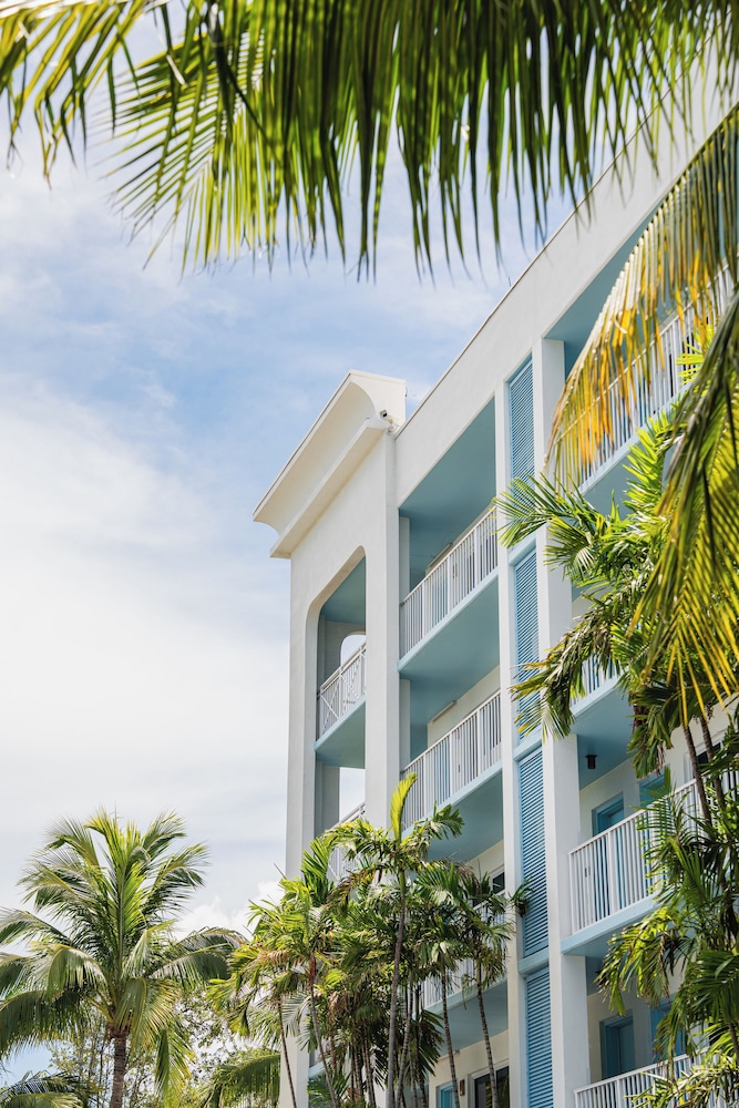 24 ノース ホテル キー ウエスト(Blue Flamingo Resort Key West) 写真5