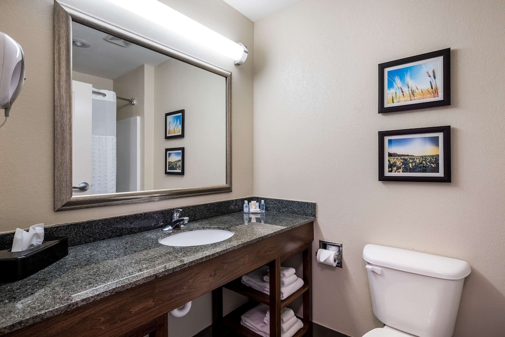 Comfort Inn Bonner Springs Kansas City 35/54