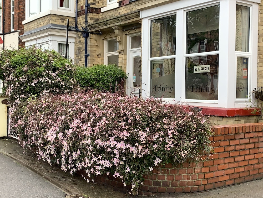 Trinity Hotel - Guest house 50/50