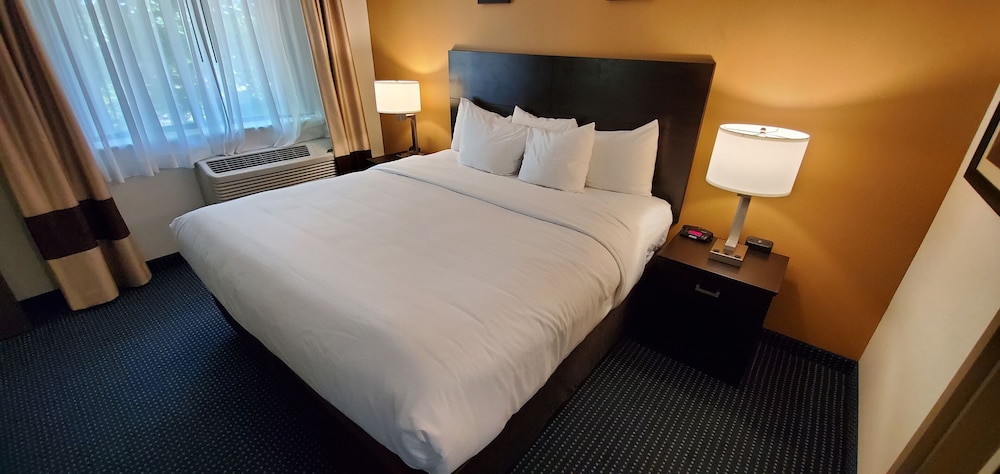 Comfort Inn & Suites Montpelier-Berlin 13/45
