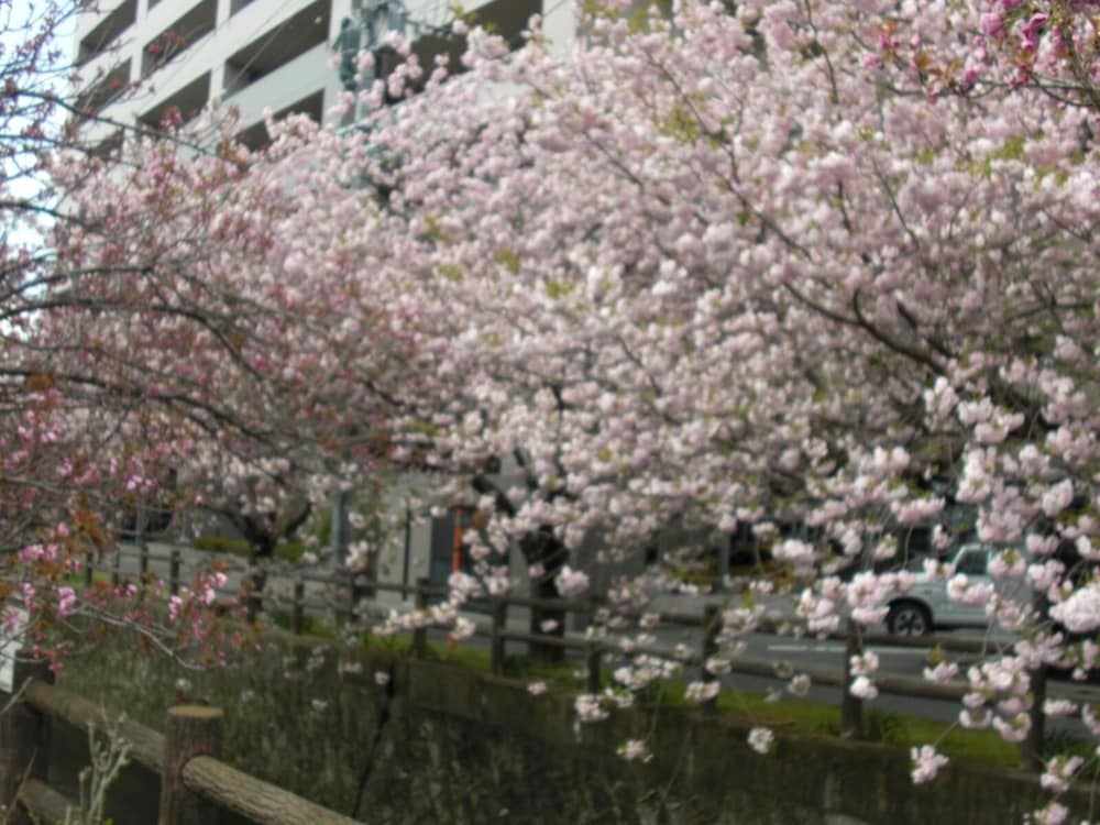 Plaza Hotel Fujinoi 57/59
