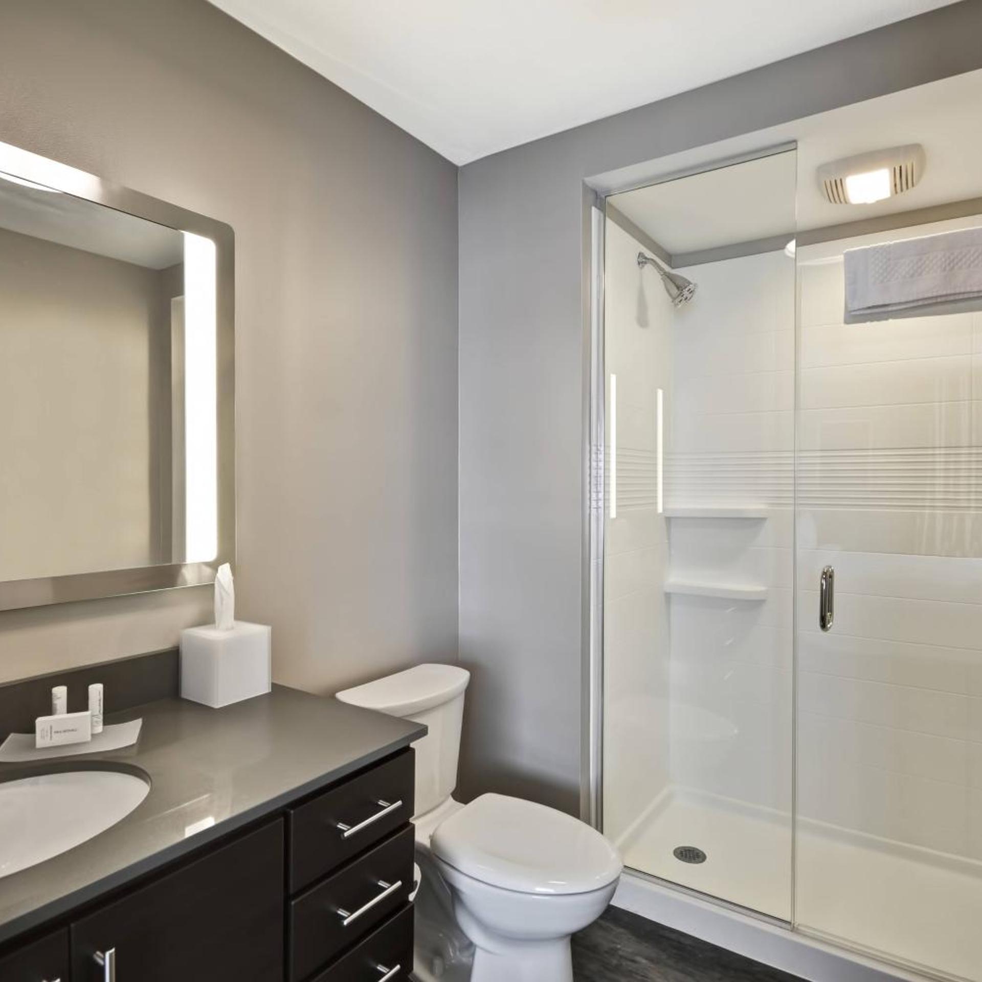 استوديو بسرير كينج مع أريكة بحوض استحمام لذوي الإعاقة، TOWNEPLACE SUITES CRANBURY SOUTH BRUNSWICK 6/8