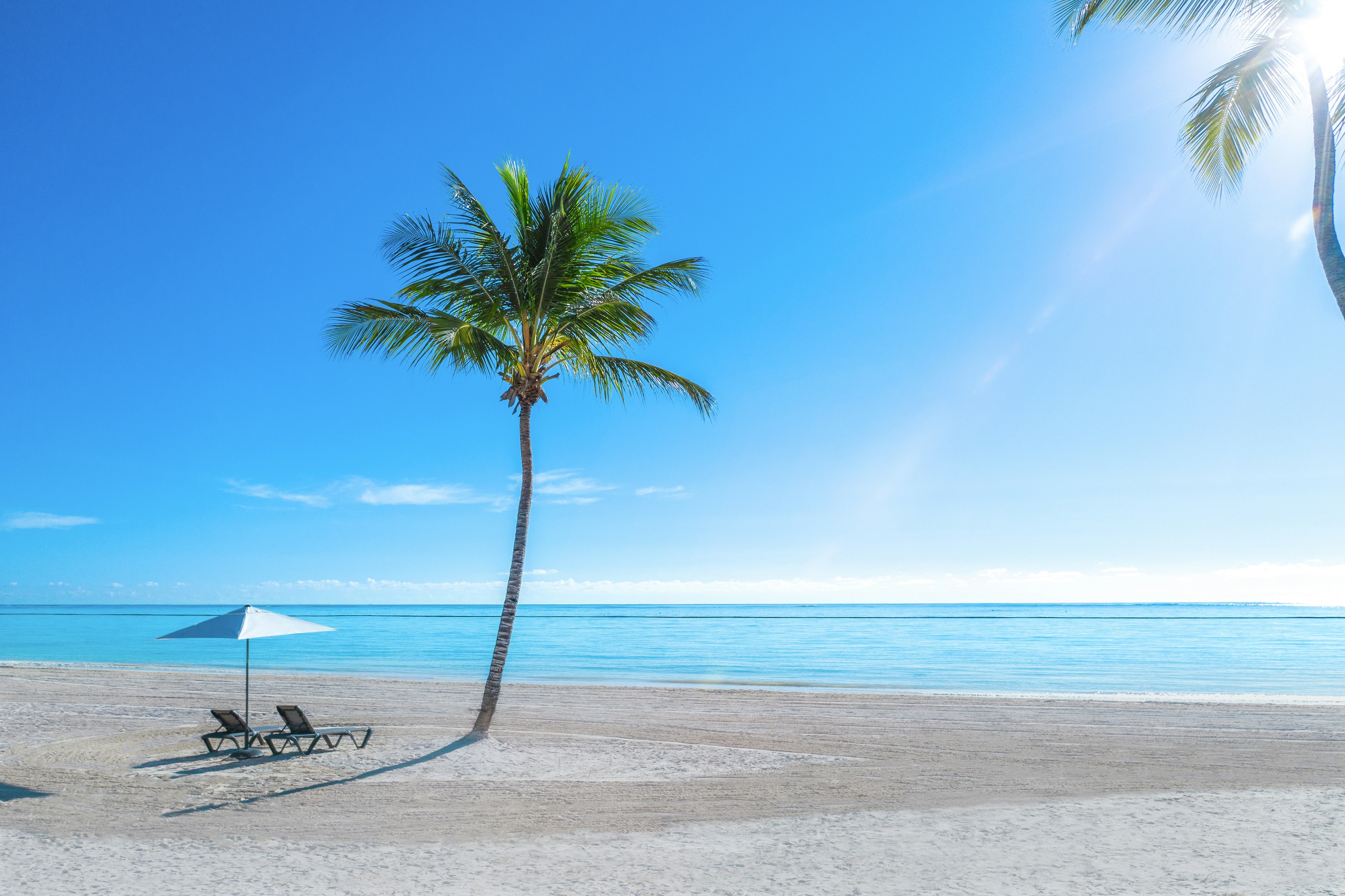 Hyatt Zilara Cap Cana - Adults Only 47/50