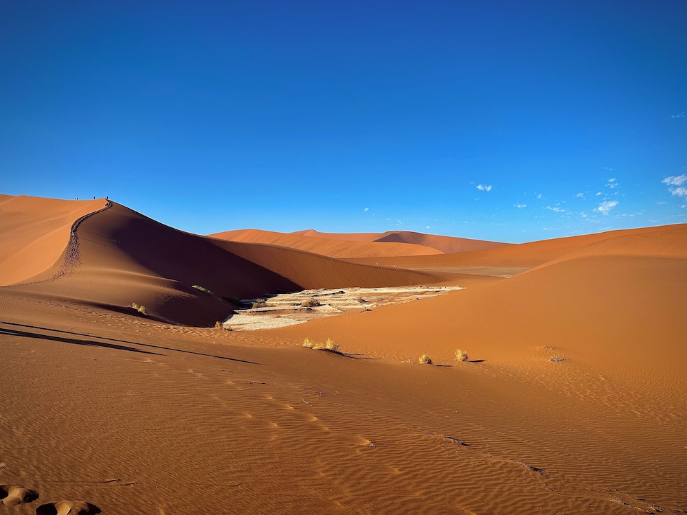 The Desert Grace, Gondwana Collection Namibia (PTY 50/58