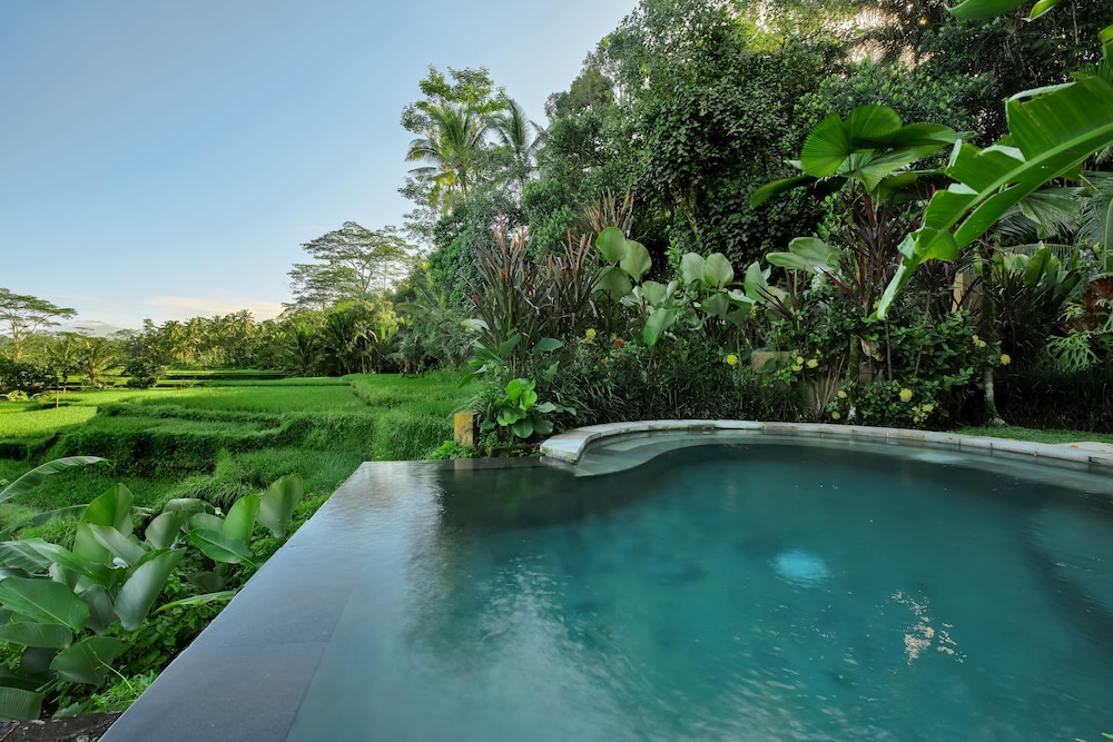 Villa Kembang Bali 40/50