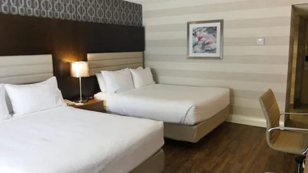 Holiday Inn by the Falls 18/52