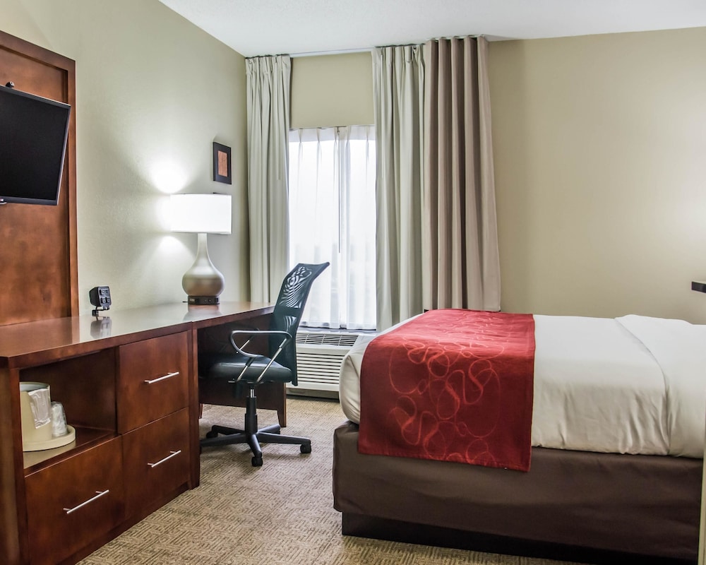 Comfort Suites University - Research Park 38/38
