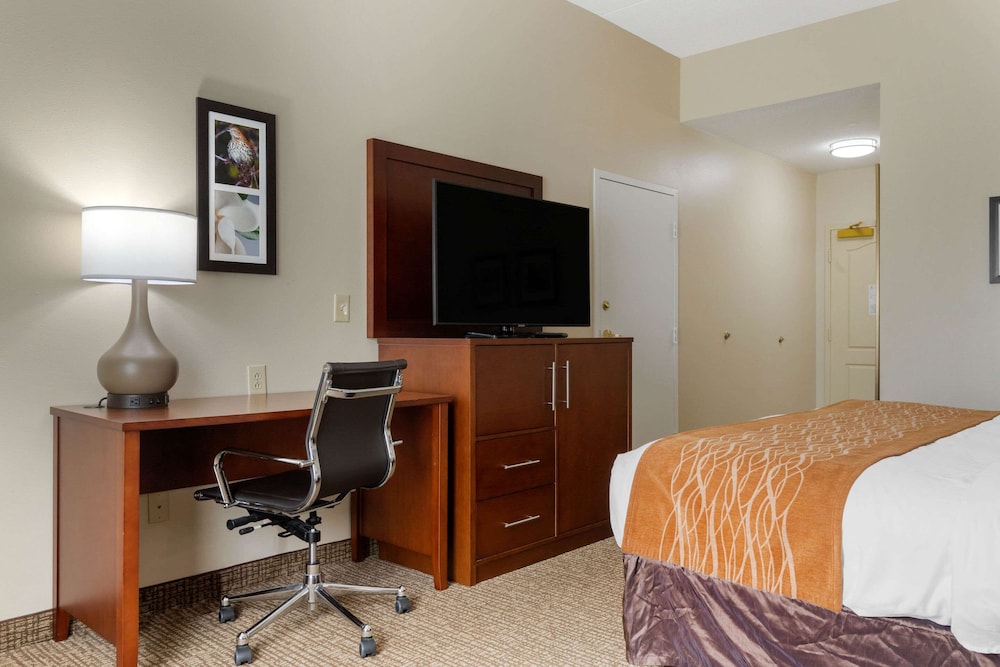 Comfort Inn & Suites Cordele GA 15/31
