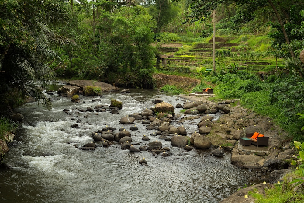 The Samaya Ubud Hotel 55/65
