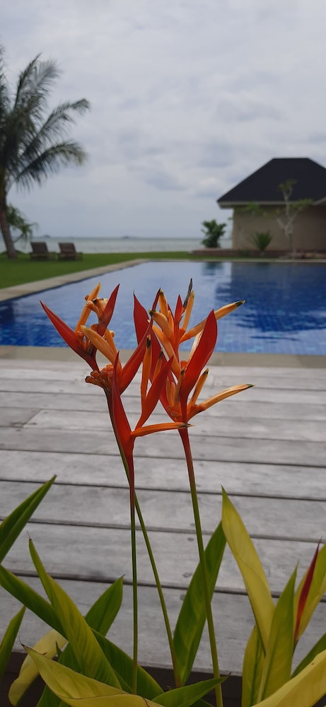 The Kelong Trikora Resort - Bintan Island 35/50