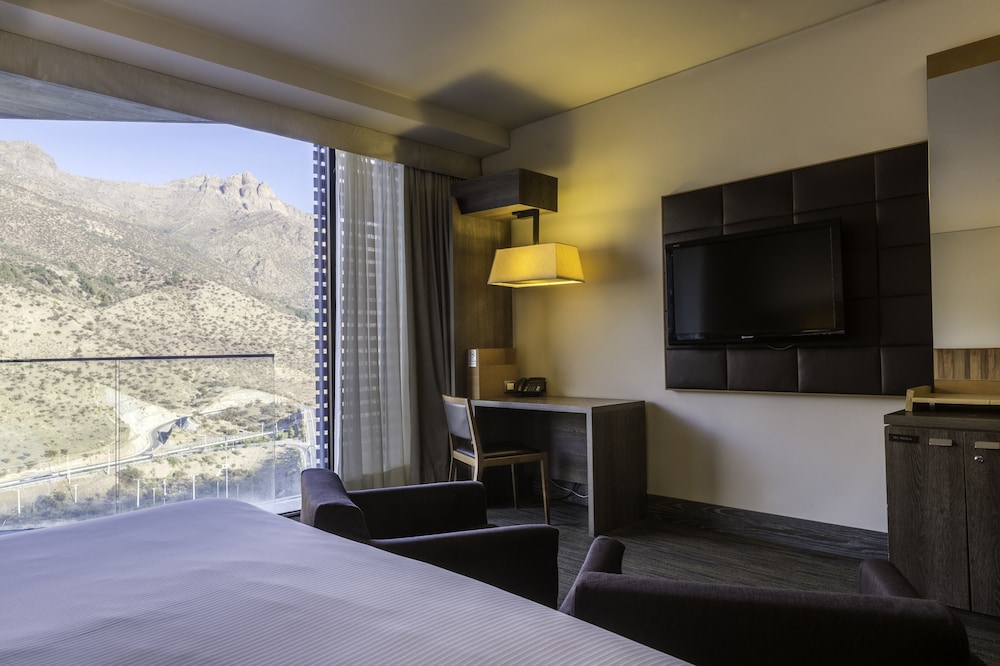 Enjoy Santiago Hotel Del Valle 20/58