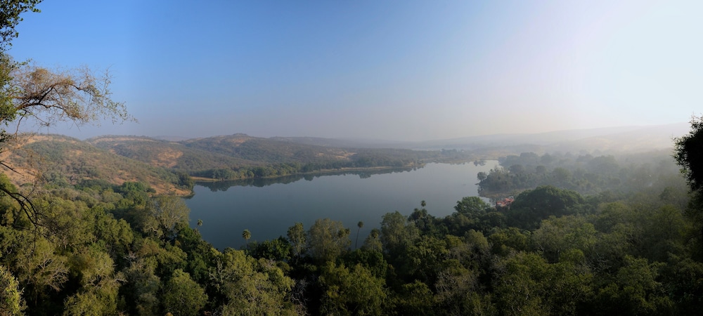The Tigress Spa and Resort 43/50