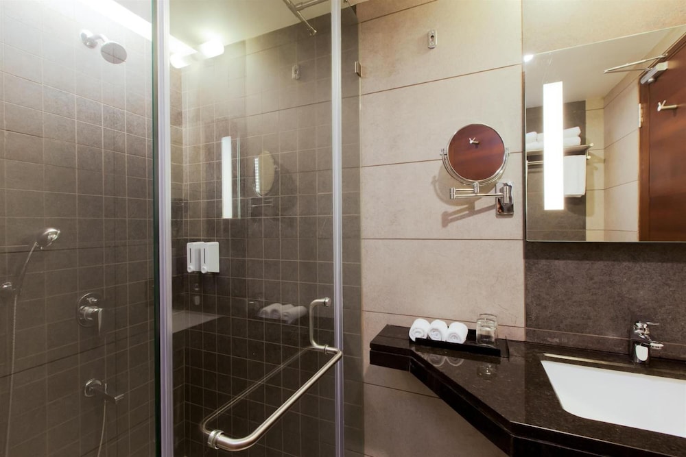 Hotel Cosmopolitan Ahmedabad 14/62