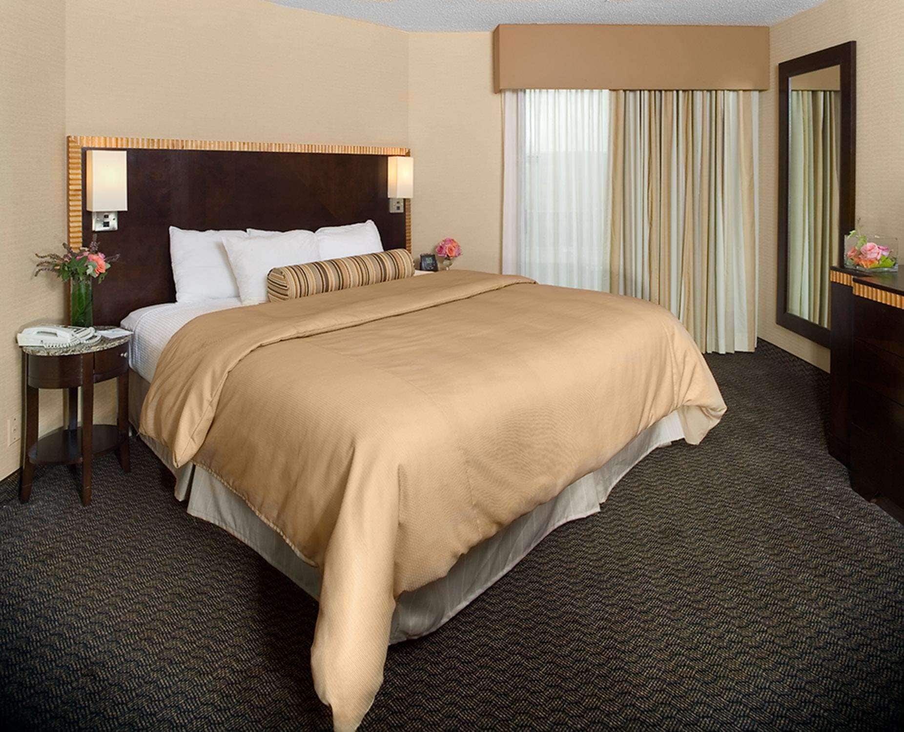 Suite, King Bed, Allergy Friendly, Accessible 4/9