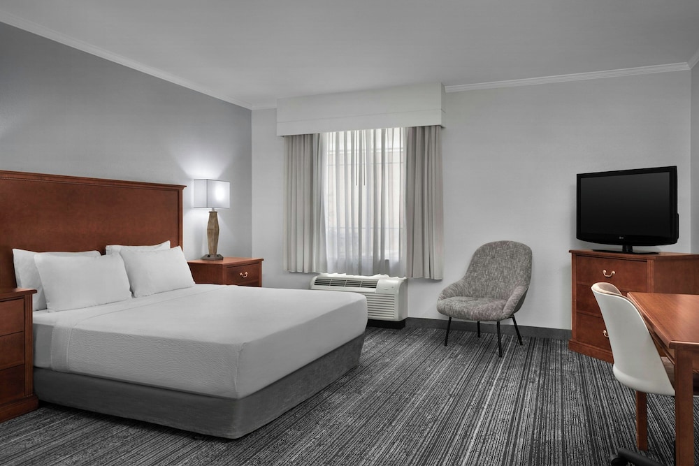 Suite, King Bed, Sofa