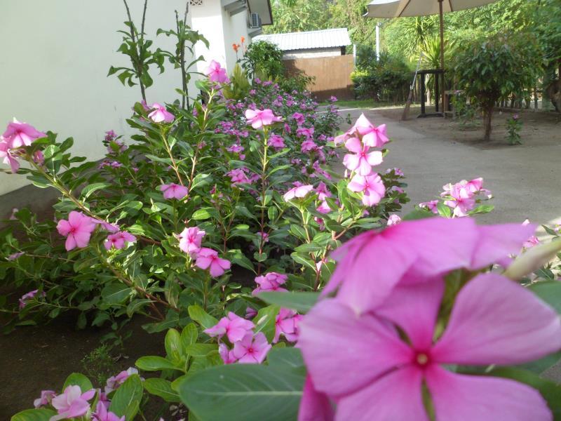 Villa Karang Homestay 14/19