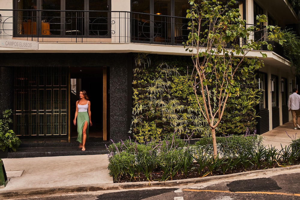 Campos Polanco 写真1