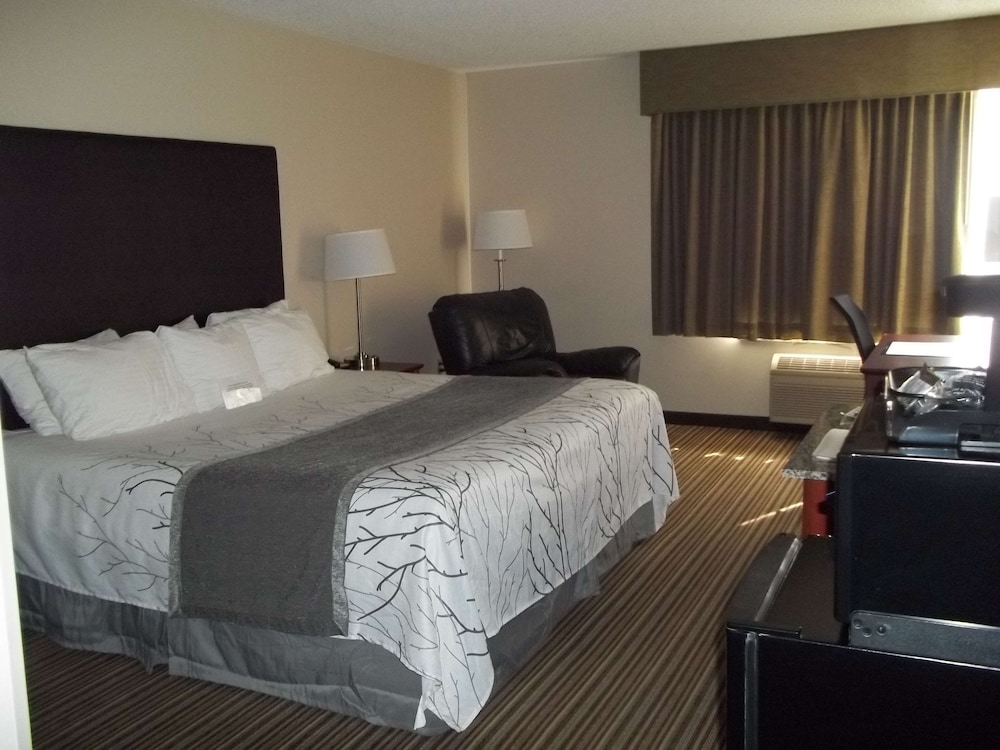 Best Western Park Oasis Inn 15/34