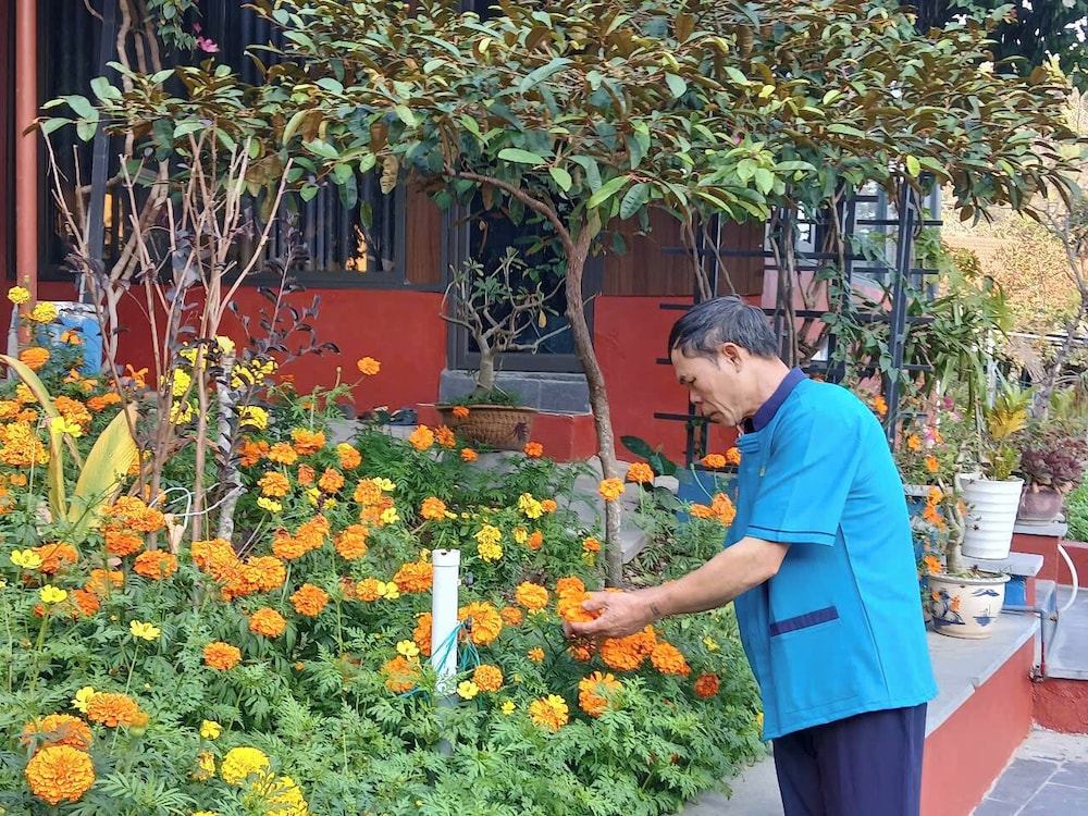 Catba Papillon Garden Bungalow & Resort 38/50