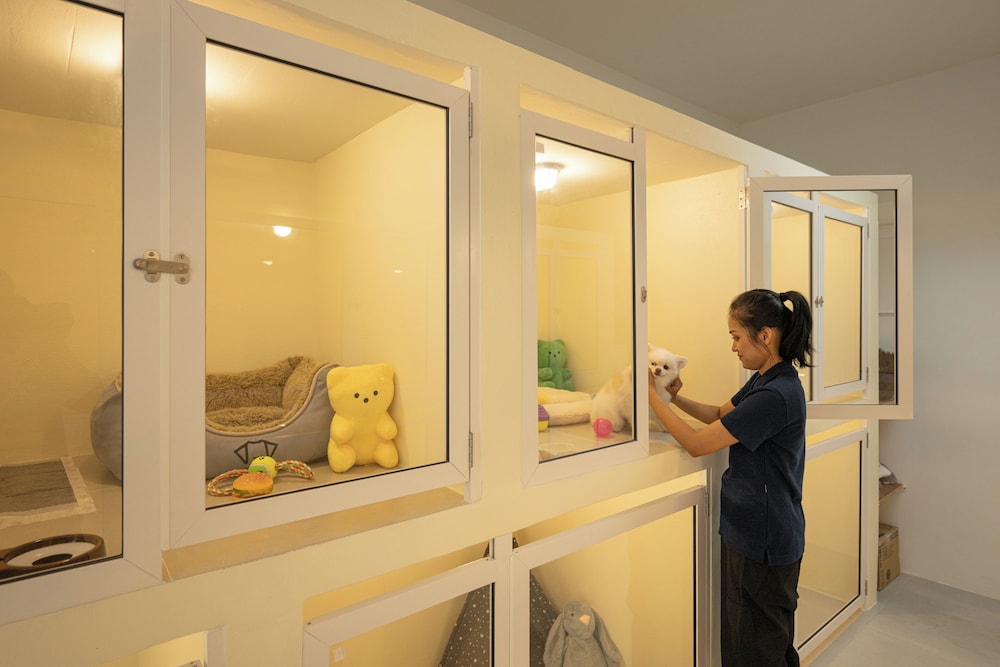 Ketawa Pet Friendly Hotel and Cafe (ex Ketawa Stylish Hotel) 43/43