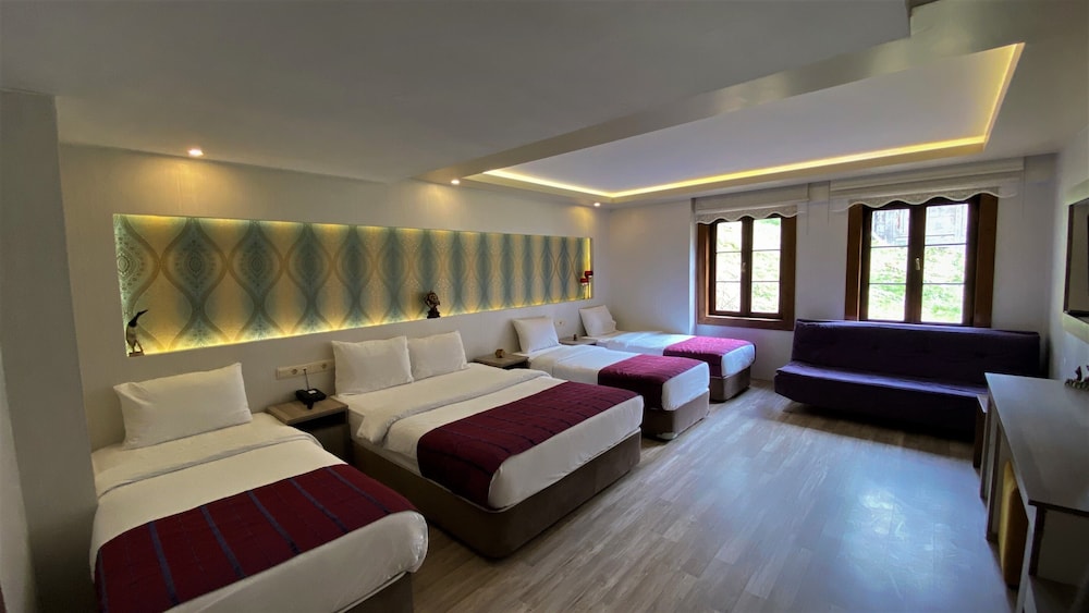 Ayder Resort Hotel 33/83