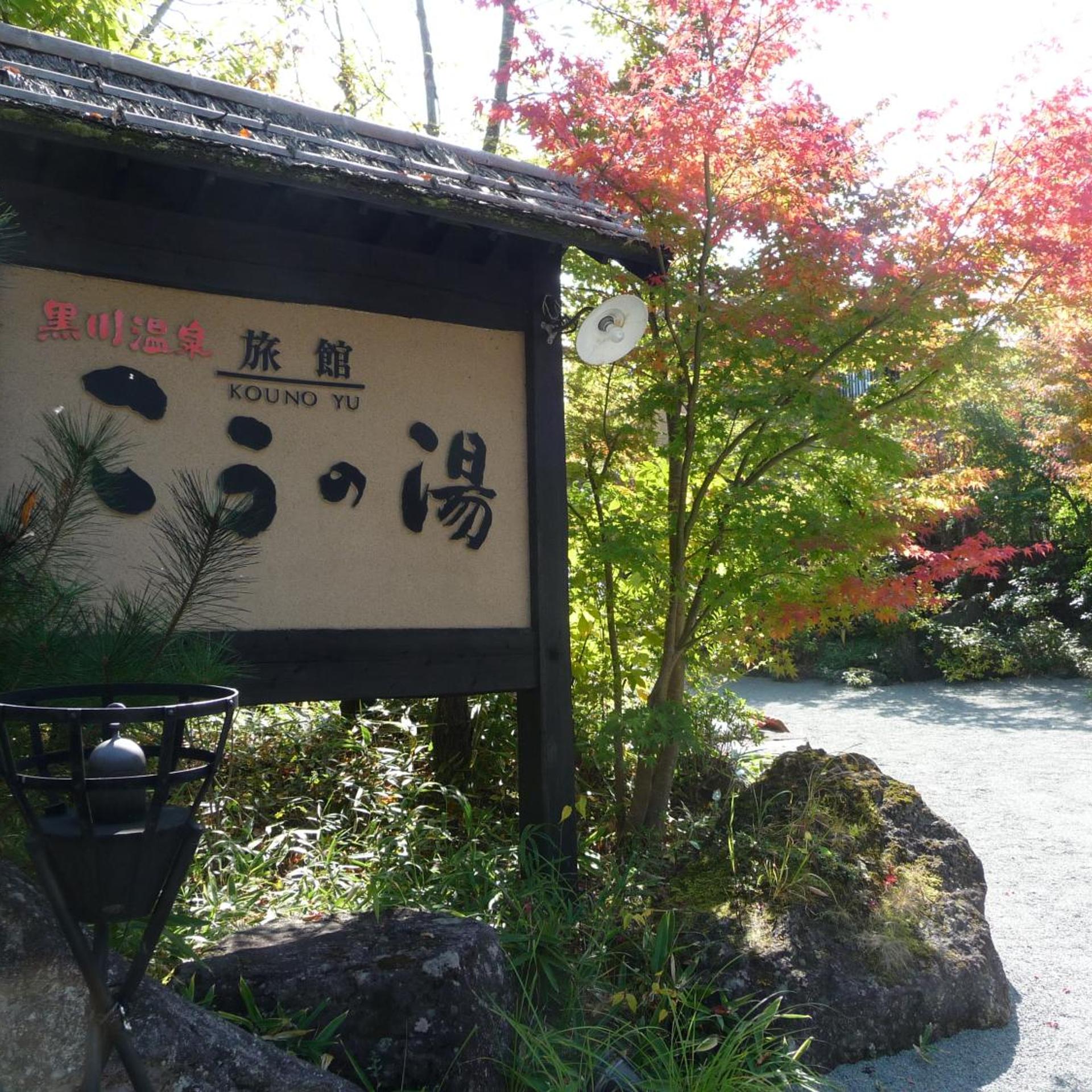 Ryokan Kono-Yu 1/50