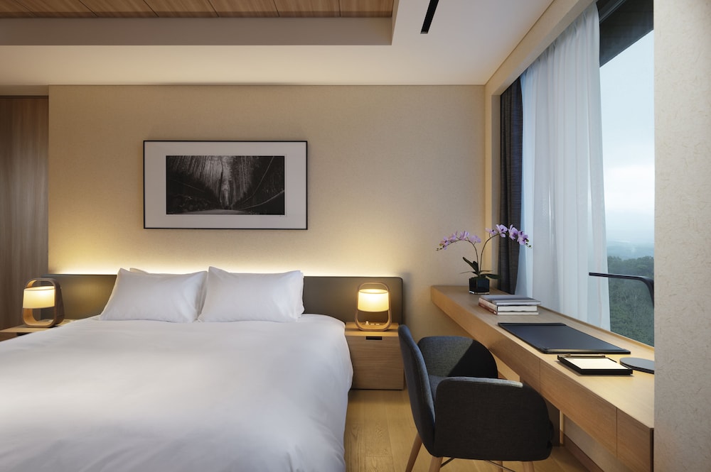 Setsu Niseko 23/64