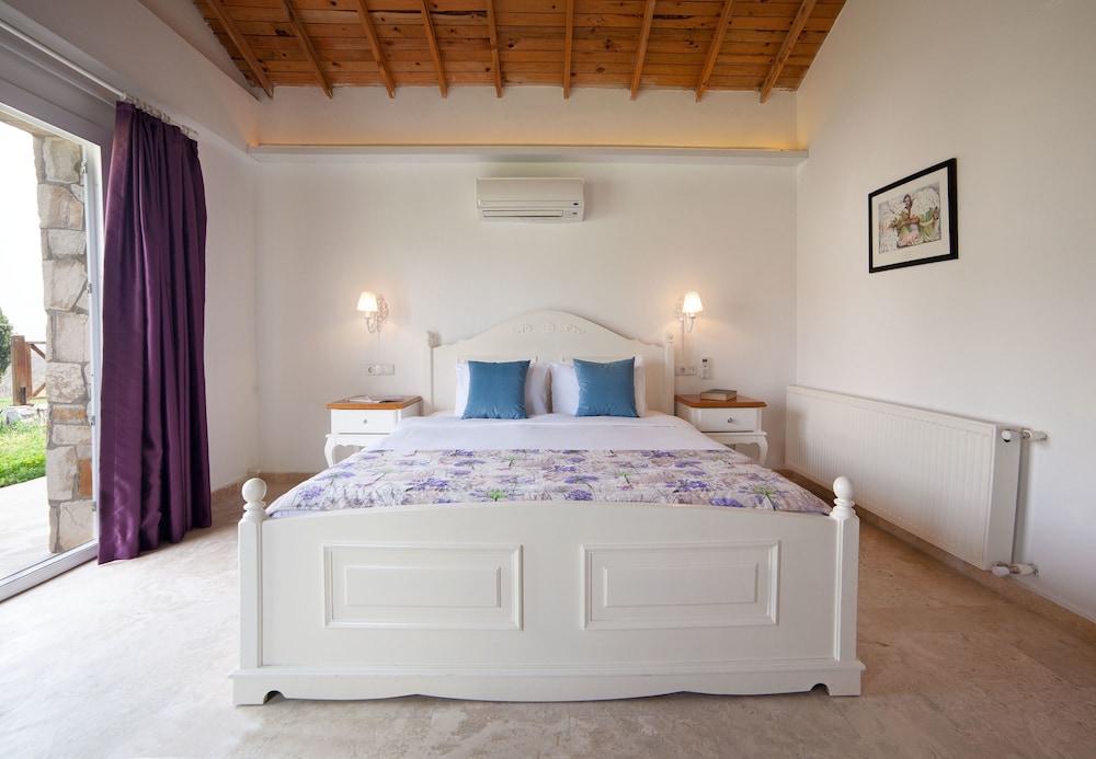 Vinifera Vineyards Hotel 11/50