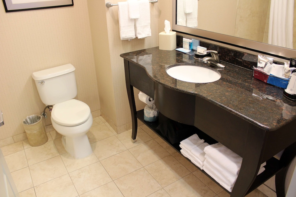 Hampton Inn Suites Mount Pleasant 17/61