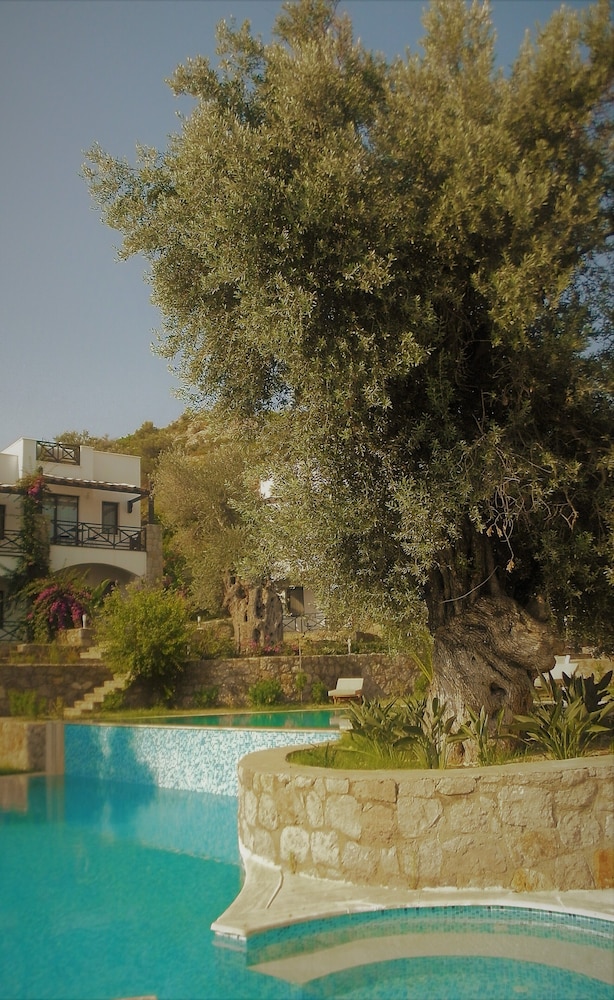 Amore Boutique Hotel 23/50