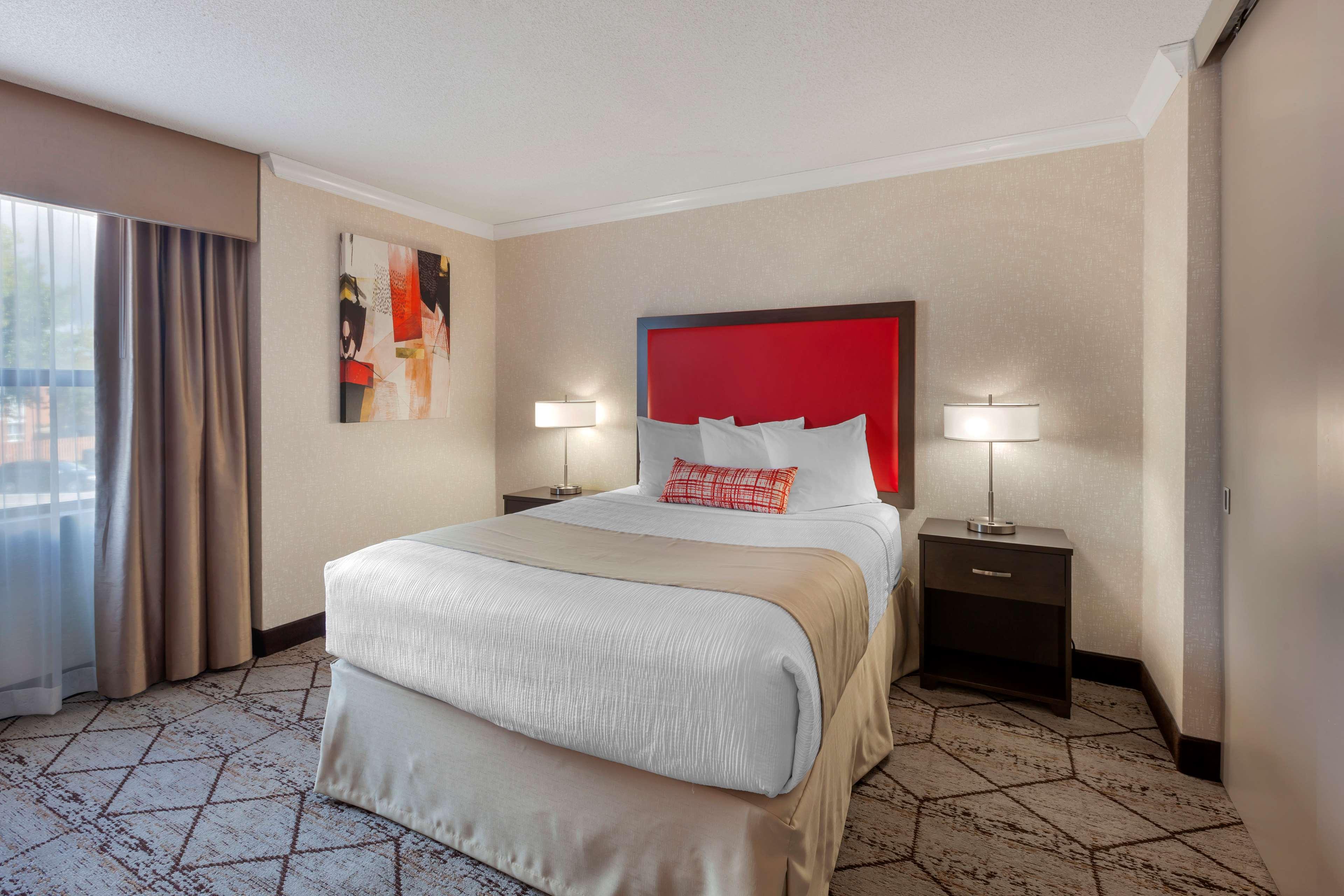 Suite, Queen Bed
