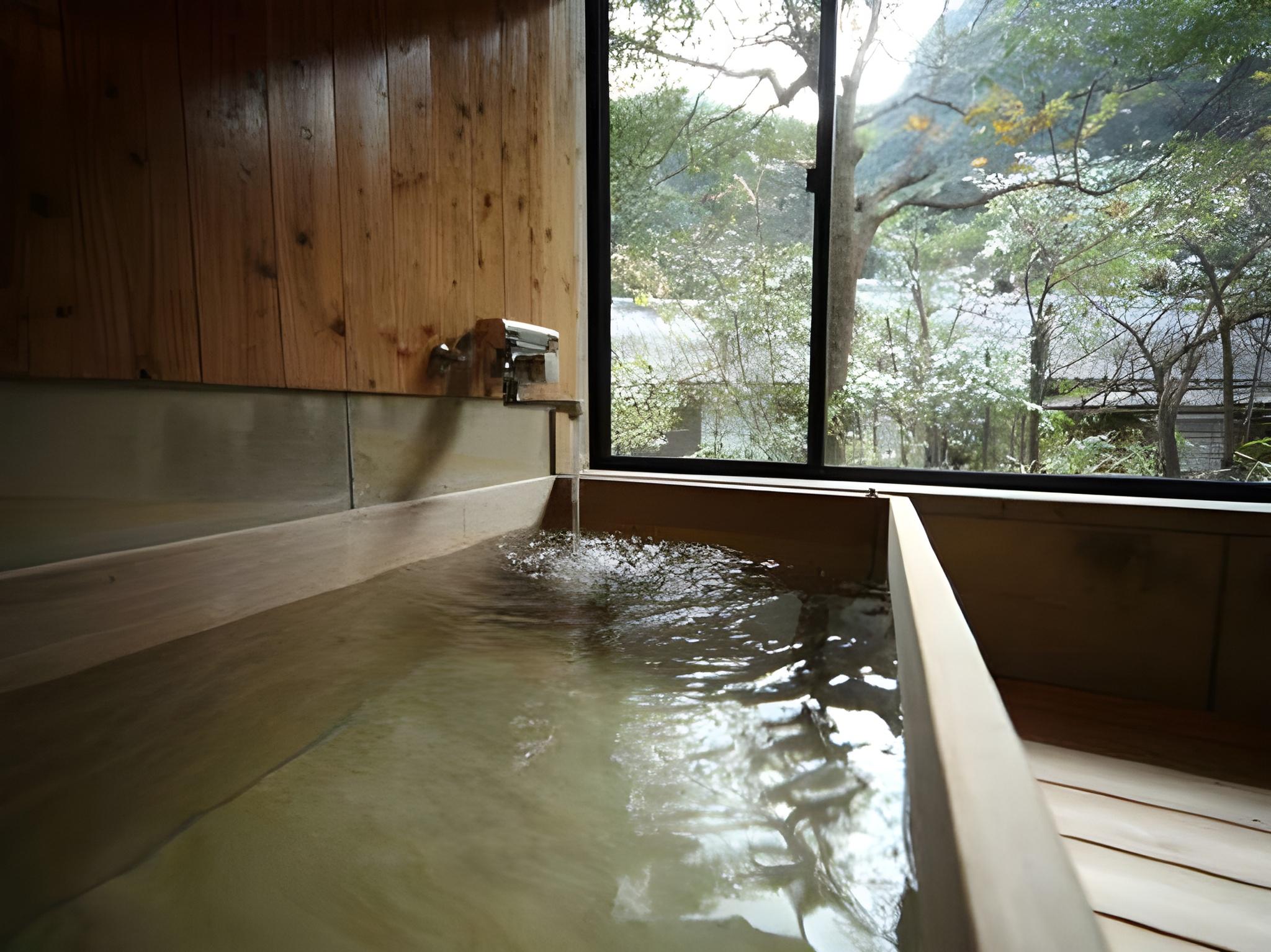 Ureshino Onsen Ryokan Shiibasanso 24/39