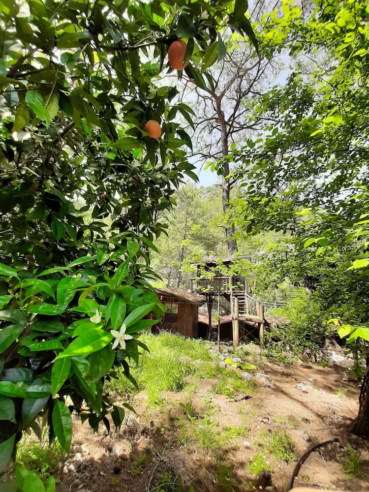 Altaris Bungalows Olympos 15/19