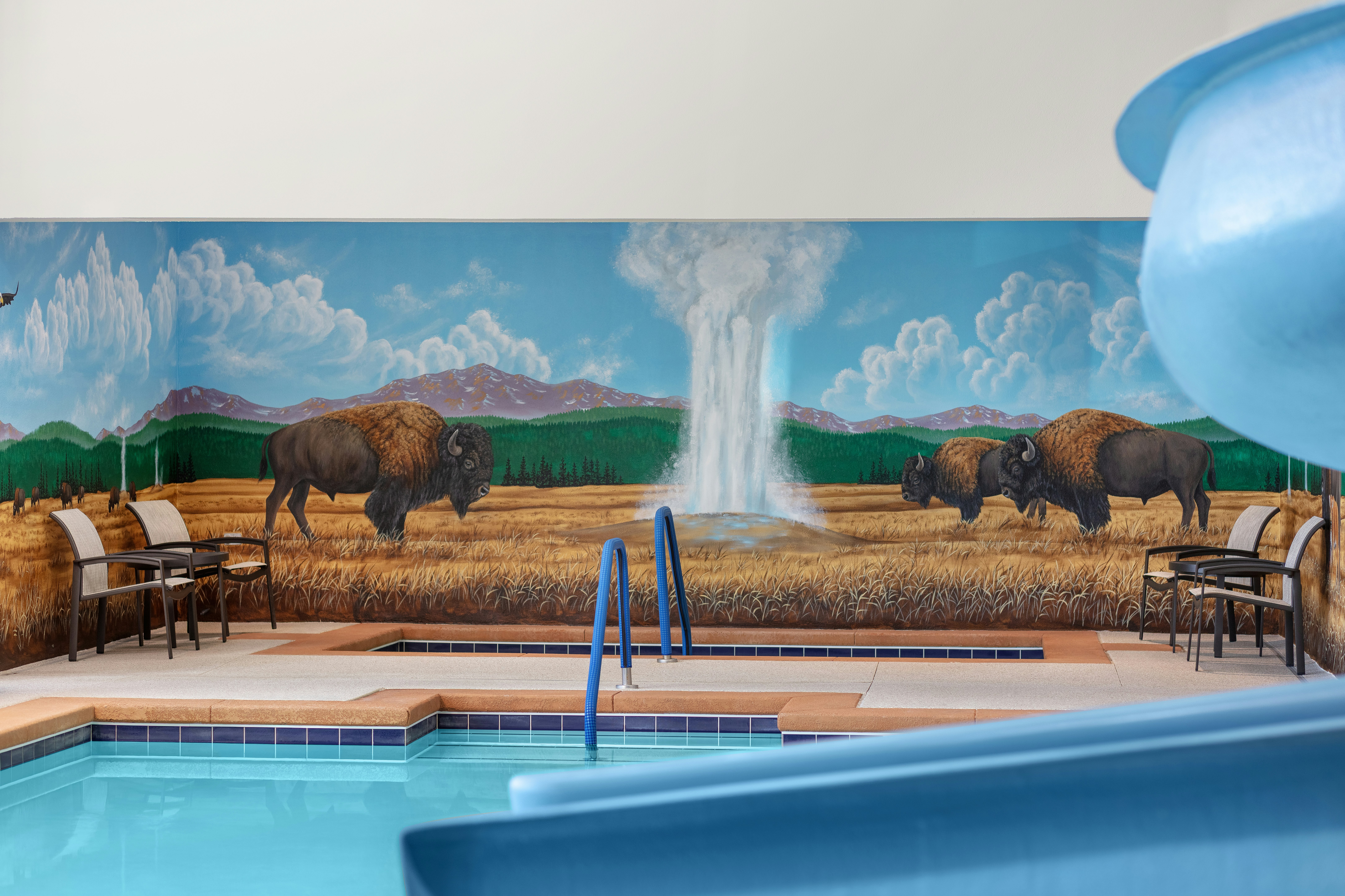 Starlite Yellowstone, Tapestry Collection by Hilton 54/54