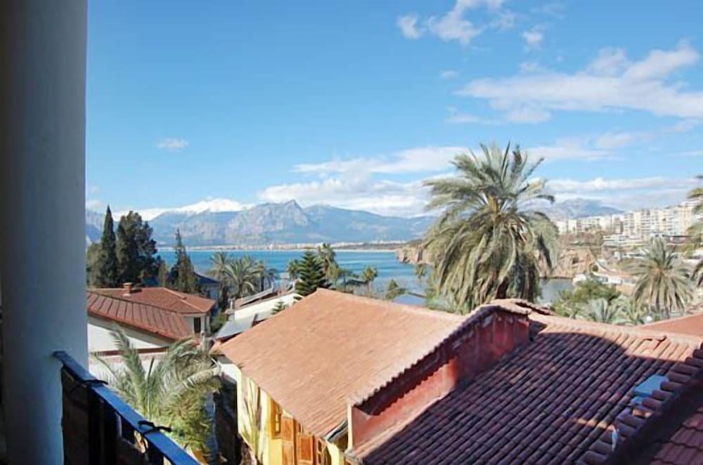 Villa Tulipan 27/50