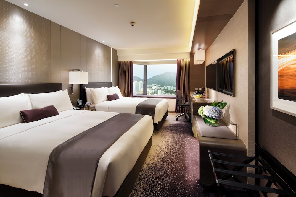 Plaza, Delight, Family, 2 Queen Beds