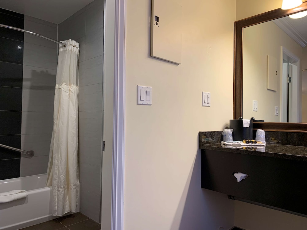 Best Western Plus Burnaby Hotel 29/76